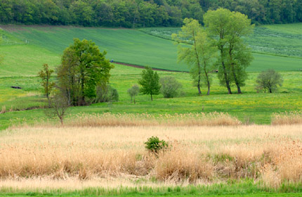Nature et culture